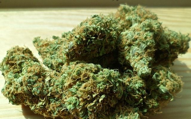 How marijuana could harm your heart and blood pressure health