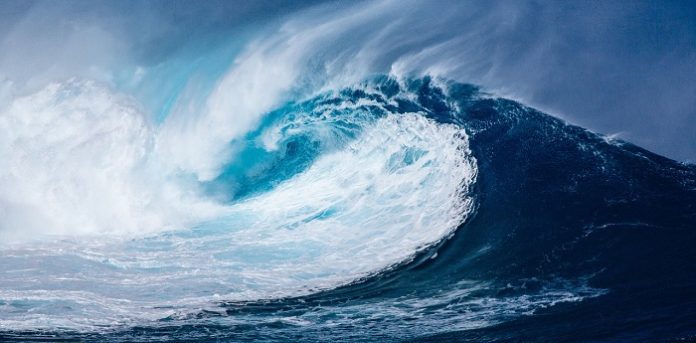 What you should know about marine snow How does marine snow help cool the planet