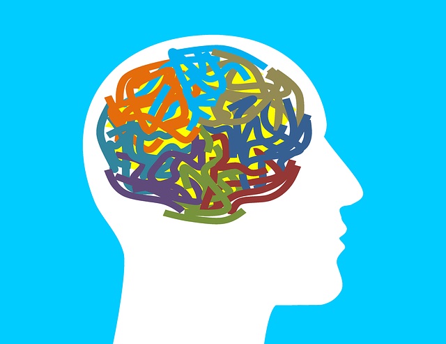 New treatment may help reverse memory loss in older people New treatment may help reverse memory loss in older people