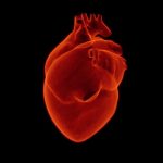 These 5 things may cause sudden cardiac arrest