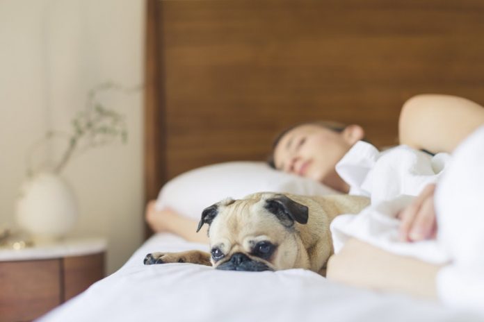 Short sleep at night may signal heart disease Short sleep at night may signal heart disease