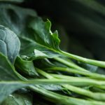 Food high in vitamin K may benefit people with blood clots Food high in vitamin K may benefit people with blood clots