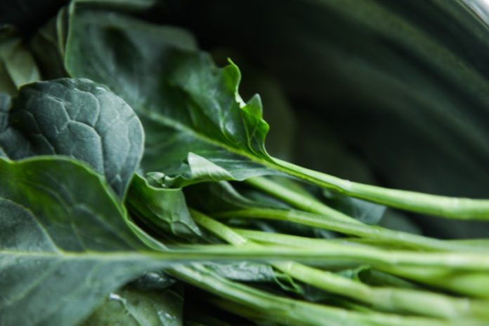 Food high in vitamin K may benefit people with blood clots Food high in vitamin K may benefit people with blood clots