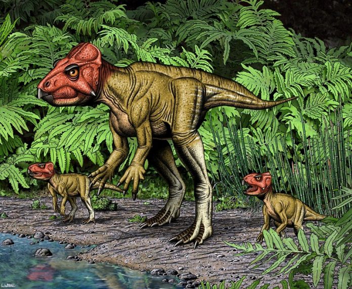 Scientists discover over 80 small horned dinosaurs