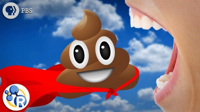 Can eating poop save you from the deadly bacterium C. diff