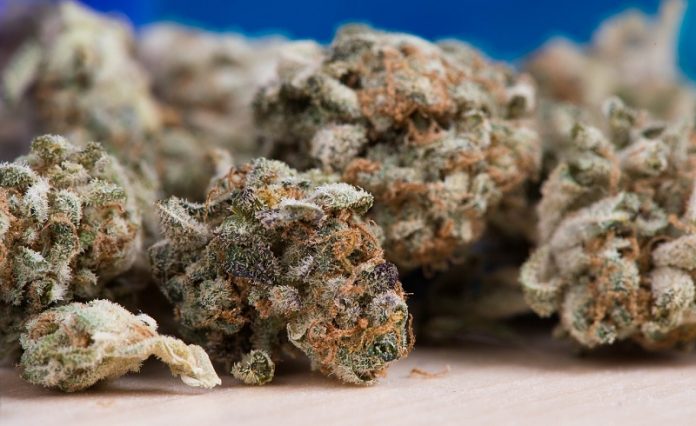 Mixing marijuana with opioids for pain relief may be linked to anxiety, depression