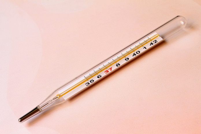 Nano-thermometer can now take a single cell’s temperature