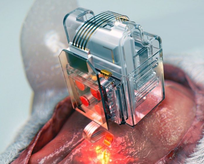 Scientists can use smartphone to manipulate your brain