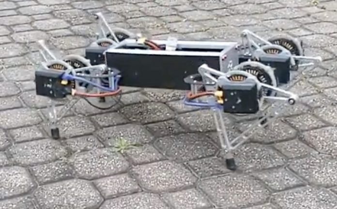 Scientists create steady robots with the help of cockroach