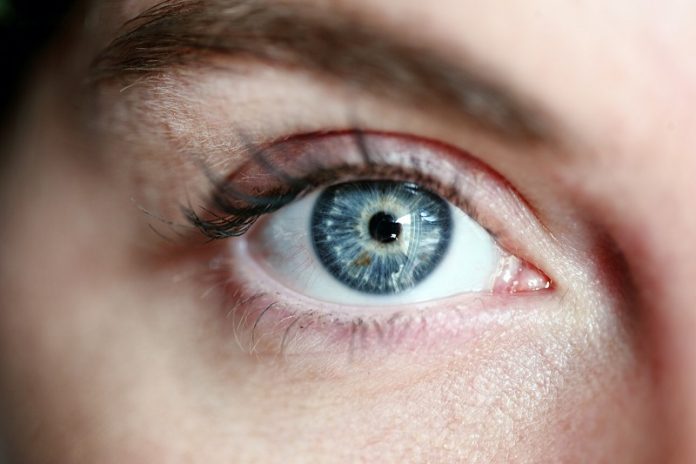 How the eyes could be windows to the risk of Alzheimer's disease