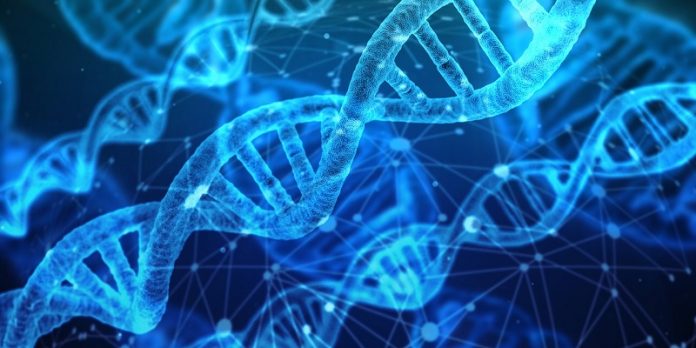 The Swiss Army Knife of gene editing gets new control