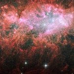 Black holes stunt growth of dwarf galaxies