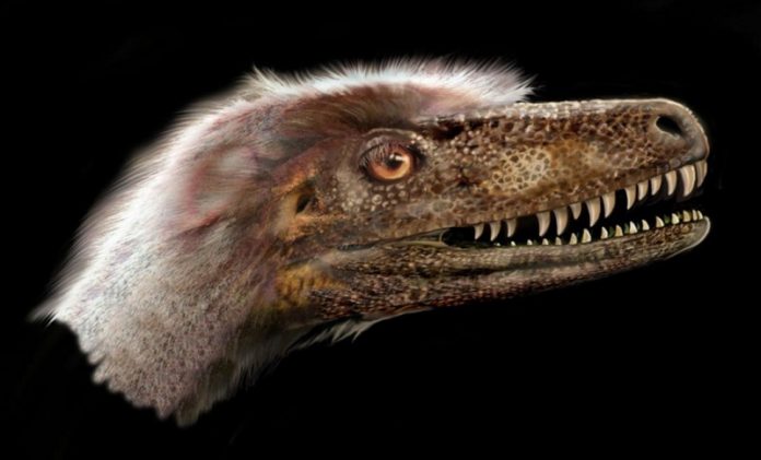 Paleontologists Discover Complete Theropod Dinosaur Specimen