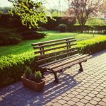 Urban green areas may help you deal with negative emotions, improving wellness