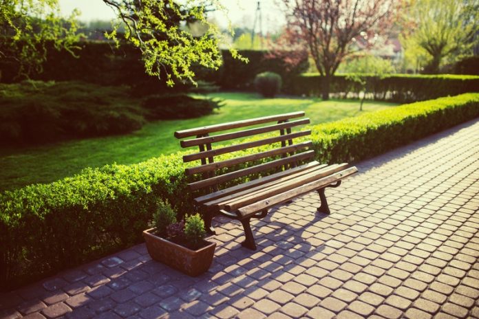 Urban green areas may help you deal with negative emotions, improving wellness