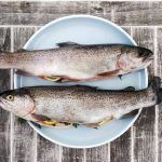 Climate change and overfishing are boosting toxic mercury levels in fish