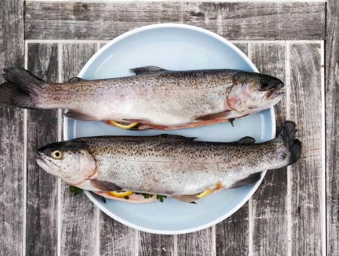 Climate change and overfishing are boosting toxic mercury levels in fish
