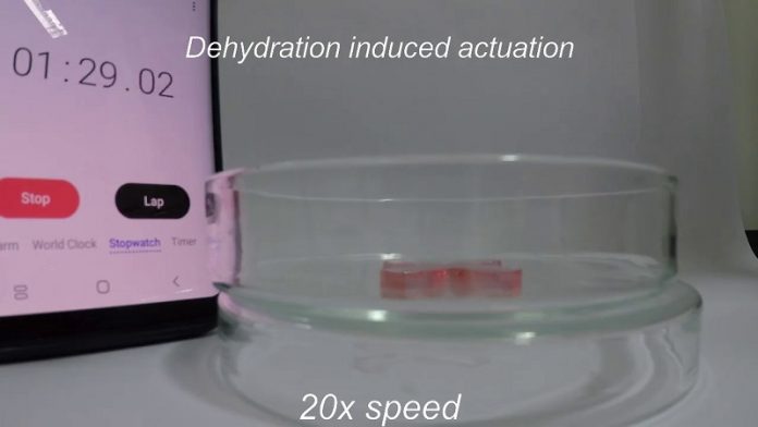New 3D printing technique produces ‘living’ 4D materials