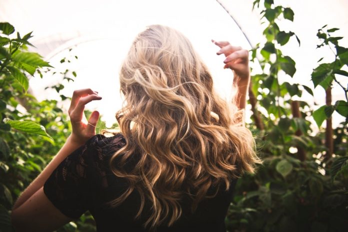 Some skin cancer may start from hair