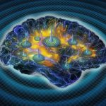 This earthquake-like brain-wave is essential for healthy sleep