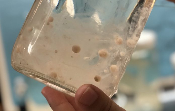 Microplastics million times more abundant in the ocean than previously thought