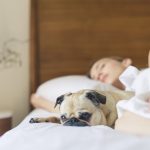 New Year’s resolutions for the sleepiest day of the year