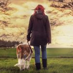 You can partner with your pet to succeed with diet and exercise plans