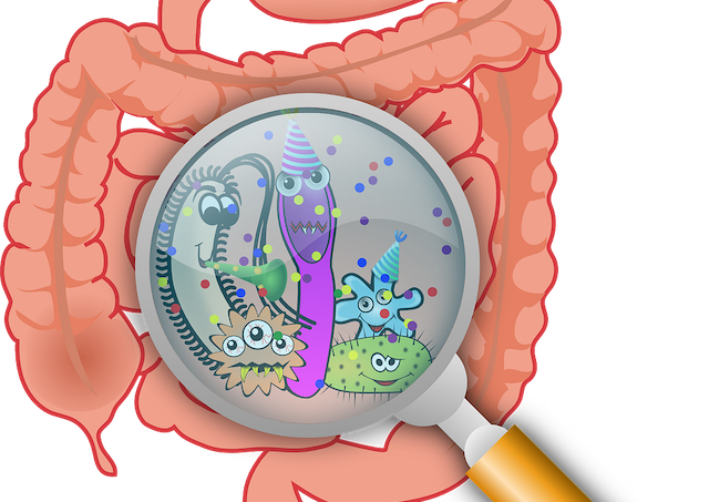 how-a-gut-infection-may-cause-chronic-symptoms