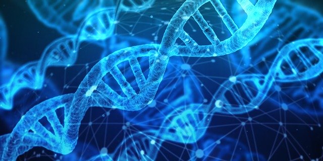 Surprise discovery shakes up our understanding of gene expression
