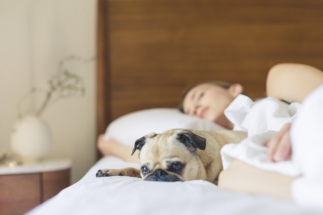 Untreated sleep apnea can put your heart health at risk
