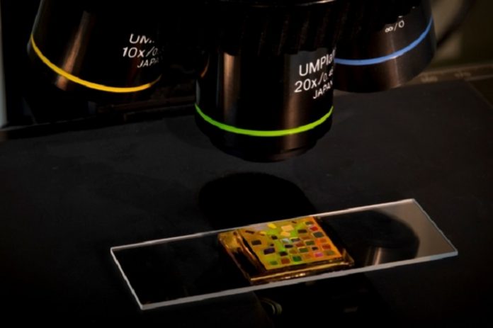 Small mirrored chip helps create handheld dark-field microscopes
