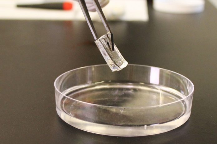 New scavenger technology allows robots to ‘eat’ metal for energy