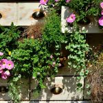 Why you need a balcony garden