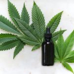 Your body’s own marijuana can help you forget traumatic memories