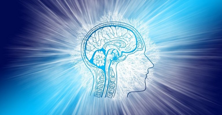 Reducing inflammation may boost cognitive recovery after stroke