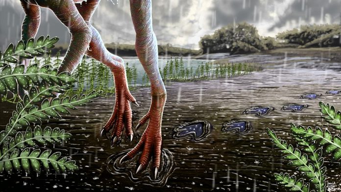 Scientists find unusual time called 'Carnian Pluvial Episode' for dinosaur evolution