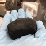Some asteroids may have jumped the gap in the early solar system