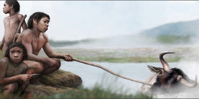 Did our early ancestors boil their food in hot springs