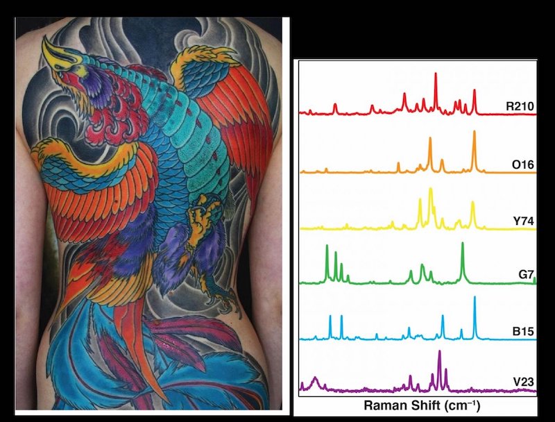 Scientists find how to use tattoo ink to detect cancer