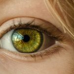 Scientists find new way to treat common retinal diseases