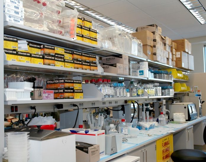 Simple skin test could identify Parkinson’s disease