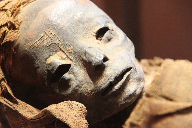 Mummies, Disease and Ancient Cultures by Thomas Aidan Cockburn Mummies, Disease and Ancient Cultures by Thomas Aidan Cockburn