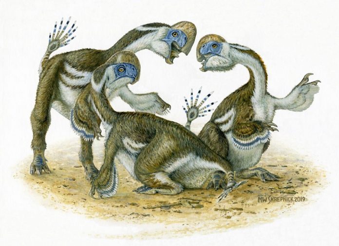 Toothless dinosaur’s lost digits point to spread of parrot-like species