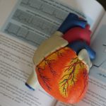 What fuels the beating heart?