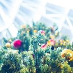How to have a safe holiday season during the COVID-19 pandemic