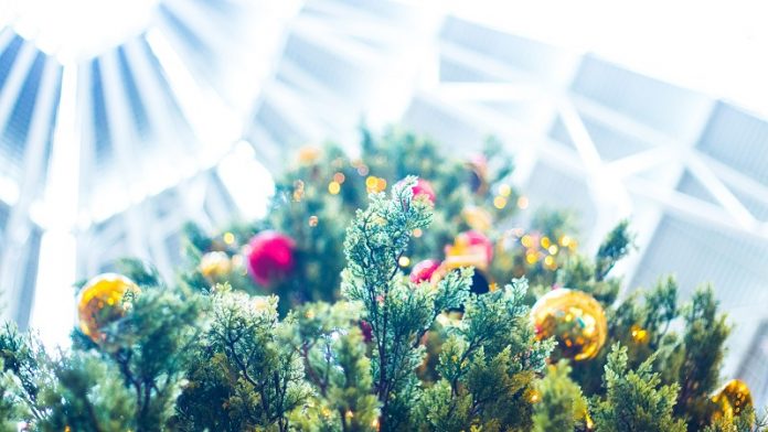 How to have a safe holiday season during the COVID-19 pandemic