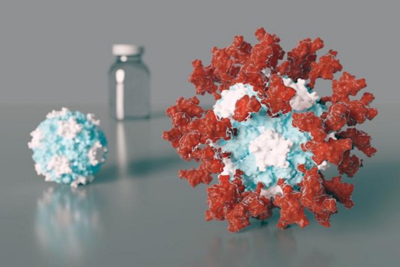 Scientists create new ultrapotent COVID-19 vaccine