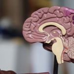 Even moderate COVID-19 can cause dangerous brain diseases