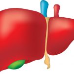 Many middle-aged adults have this dangerous liver problem