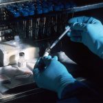 This antibody cocktail may help treat COVID-19 infection